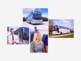 Israel Transport - Bus