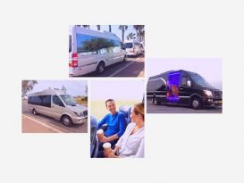 Israel Transport - Minibus