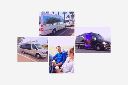 Israel Transport - Minibus