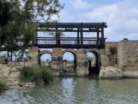 טיולי גמלאים - נחל תנינים - גני הנדיב- פארק חדרה - קיסריה העתיקה