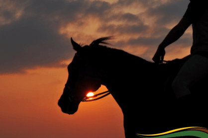 קירגיזסטן טיולי סוסים - נומדס יורט מדריך הטיולים שלכם למרכז אסיה